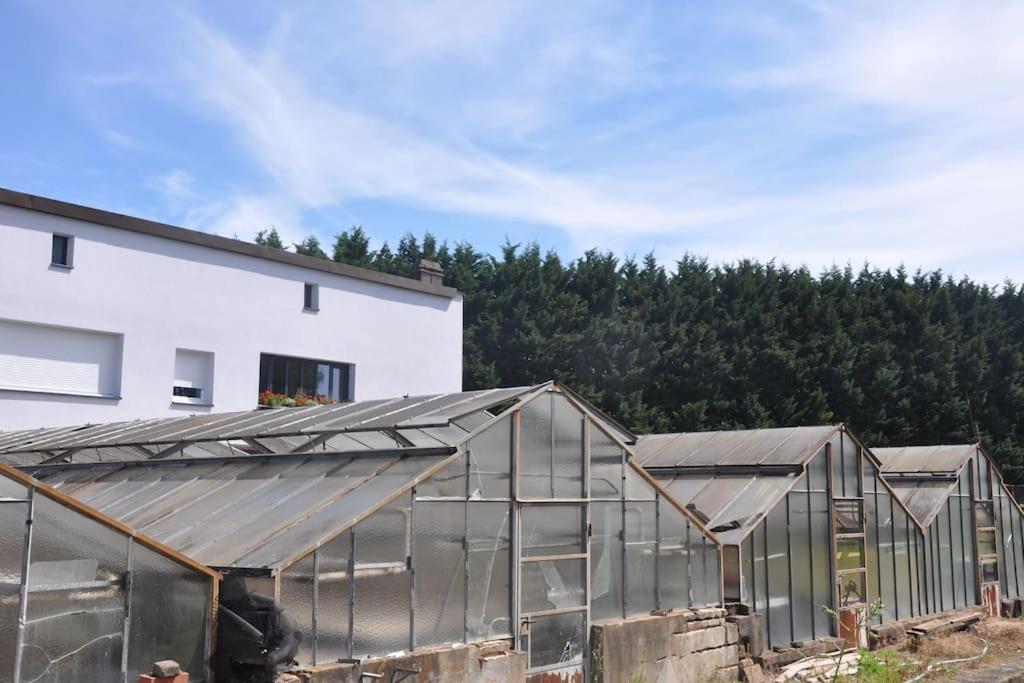 Gite St Nicolas Ancien Corps De Ferme Horticole Freyming-Merlebach Exterior photo